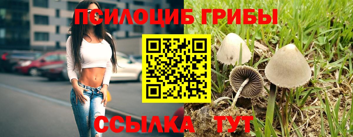 Волжский  Галлюциногенные грибы мухоморы  Галлюциногенные грибы Psilocybine cubensis  Вход с VPN 
